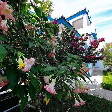 Sicci Villa Near The Airport & Sea 아테네 외부 사진