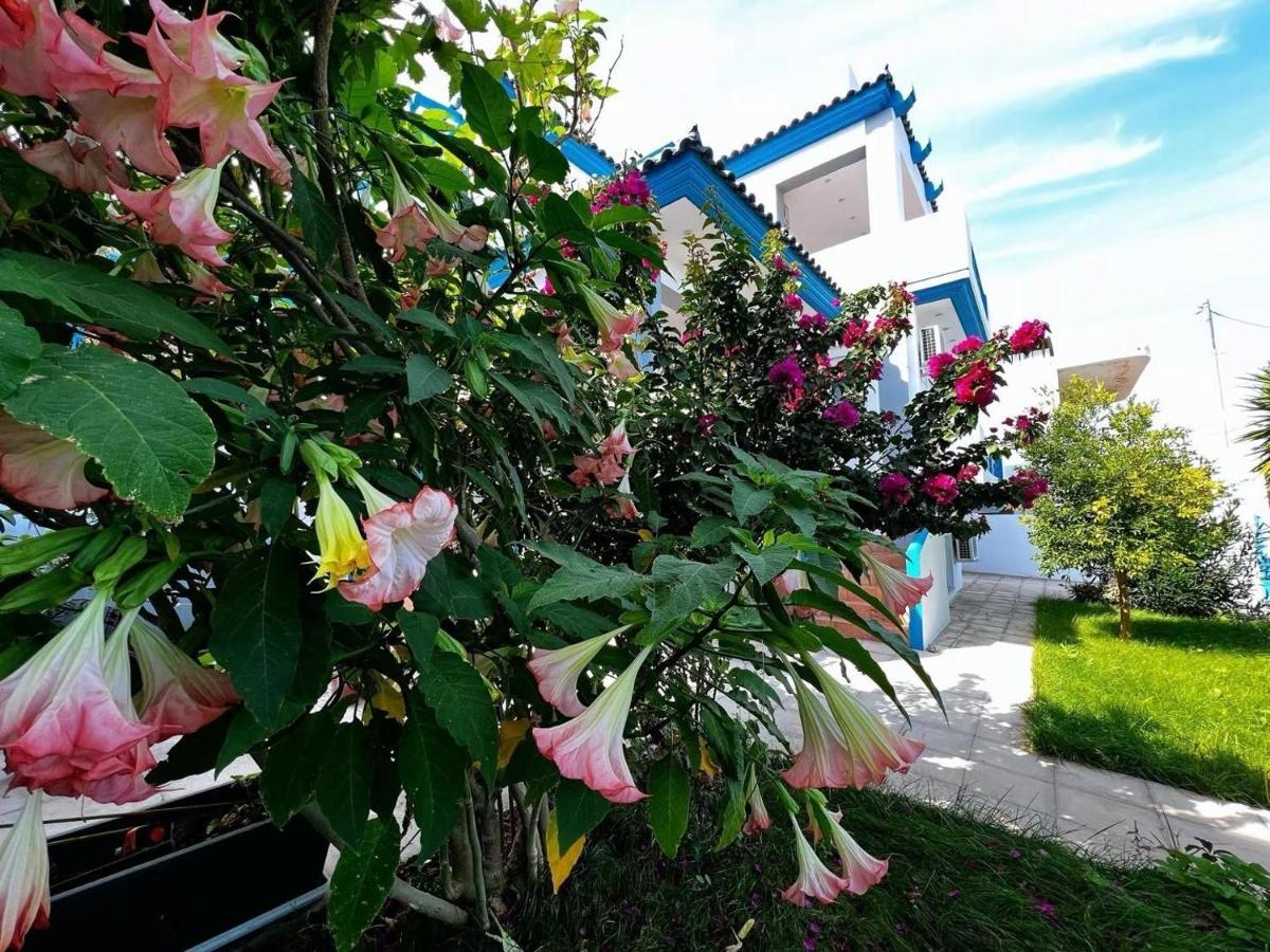 Sicci Villa Near The Airport & Sea 아테네 외부 사진